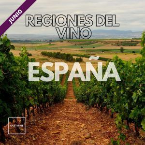 Taller de vinos de España